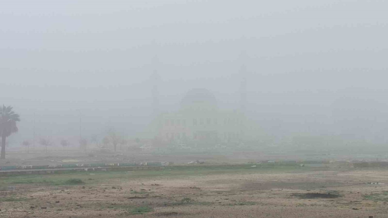 Şanlıurfa’da yoğun sis etkili oluyor