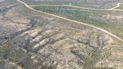 Sarıçam’da 1 milyon 200 bin fidan toprakla buluşturuldu