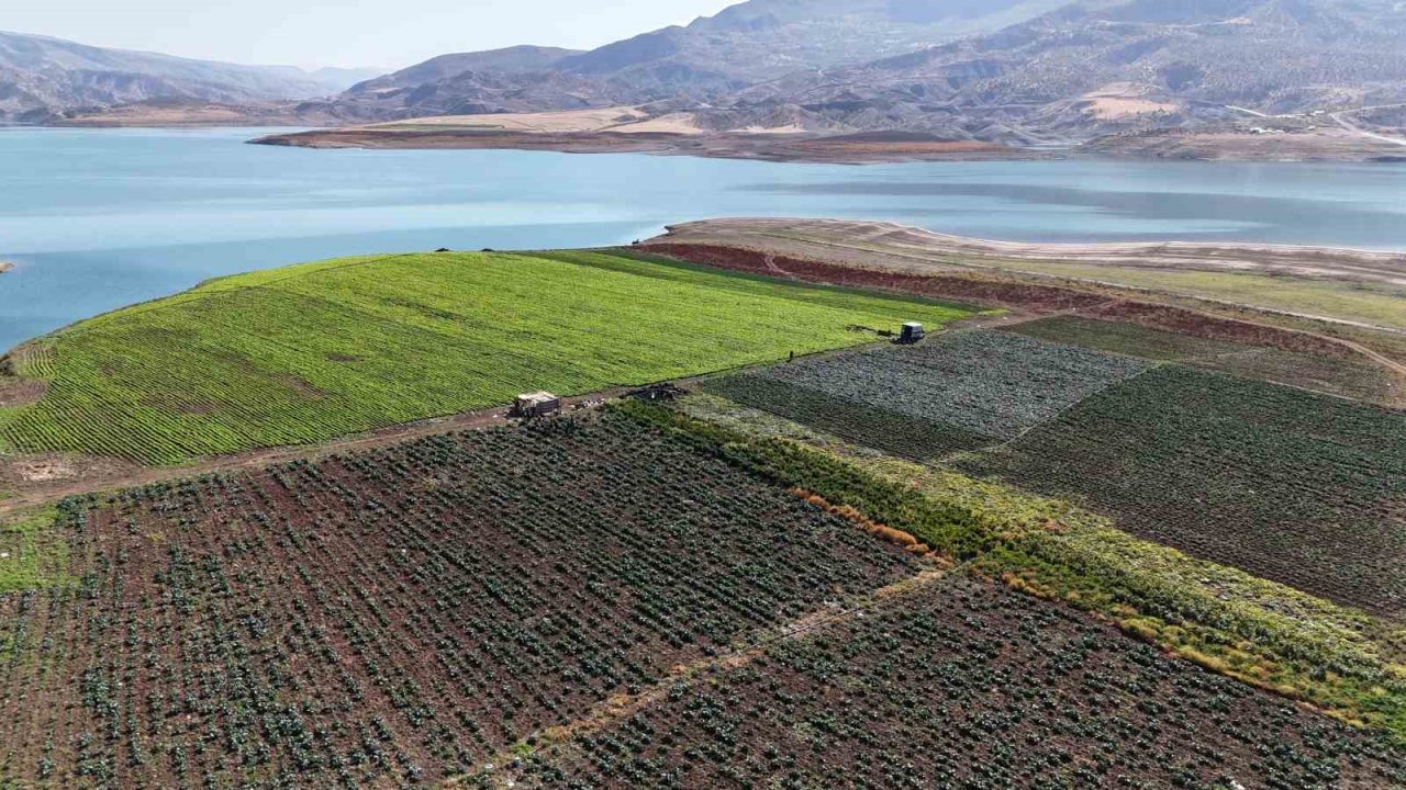 Siirt’te su tahliyesi uyarısı