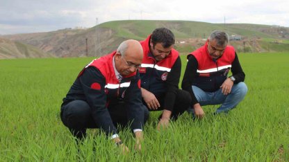 Siirt’te yağışlar yüzde 150 arttı, tarımsal hasıla beklentisi yükseldi