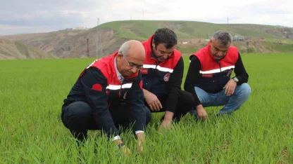 Siirt’te yağışlar yüzde 150 arttı, tarımsal hasıla beklentisi yükseldi