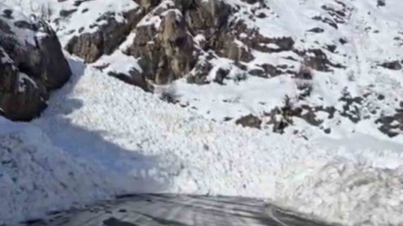 Şırnak-Hakkari kara yolu çığ nedeniyle ulaşıma kapandı