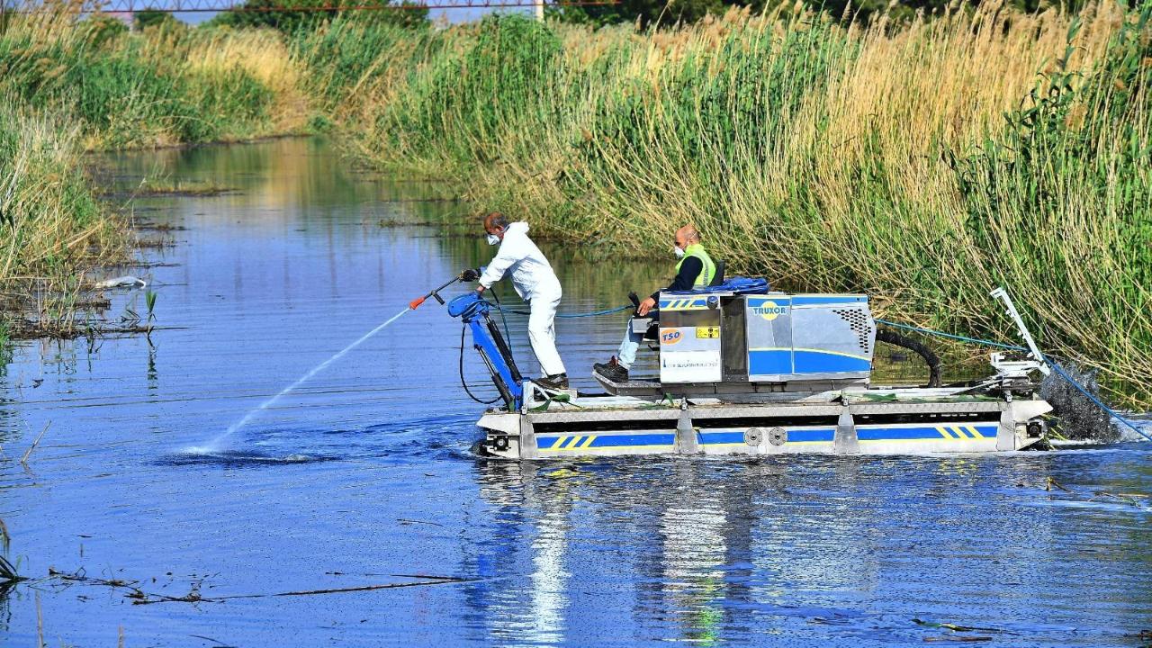 Sivrisinek ve zararlılara karşı İzmir modeli