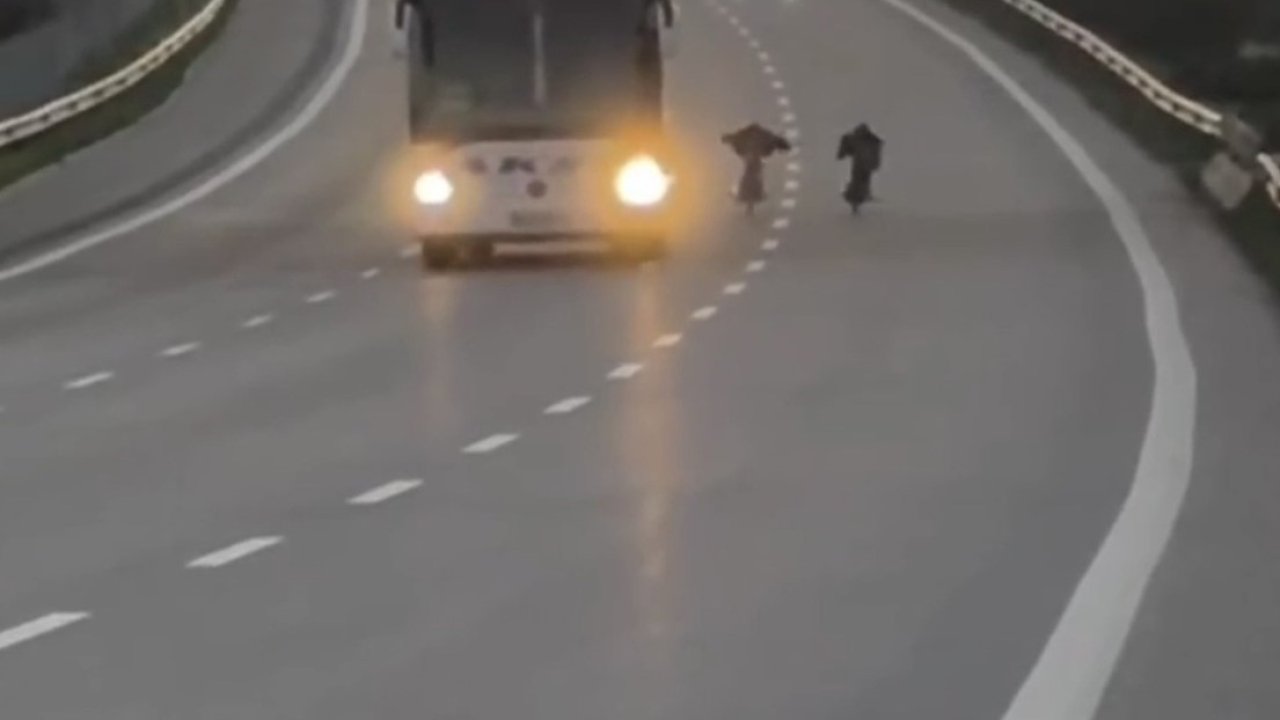 Sosyal medyada paylaşılan yarış pahalıya patladı: 430 bin TL ceza