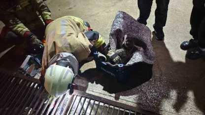 Su giderine yavrulayan anne kedi ve yavrularını itfaiye kurtardı