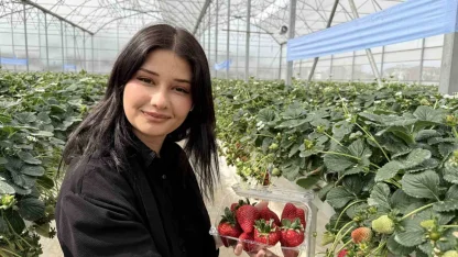 Tarsus’ta topraksız tarımda ilk çilek hasadı yapıldı