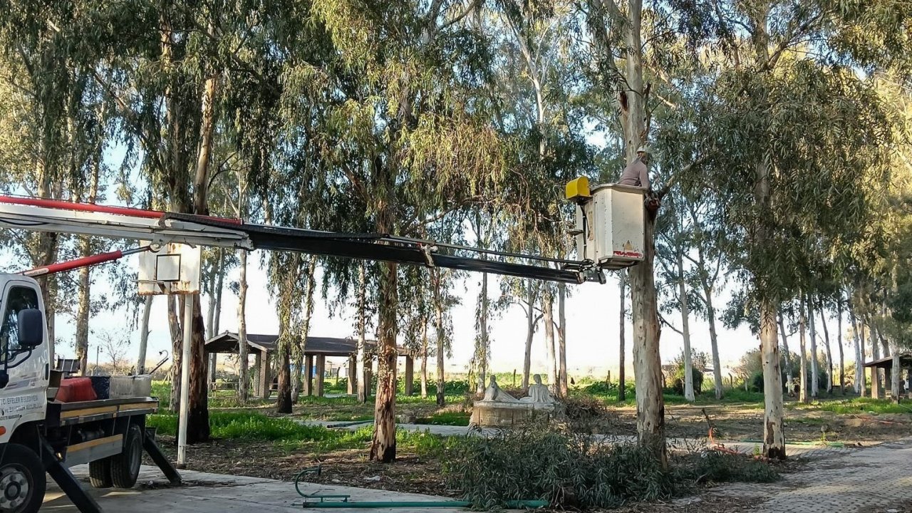 Tepecik Mesire Alanı yenileniyor