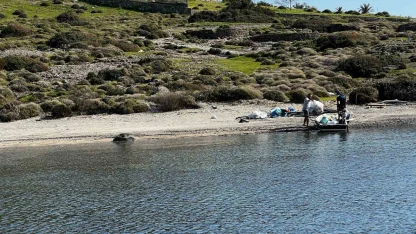 Tilkişen otu toplamaya gittiler, koyu temizlediler