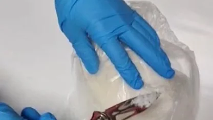 Tunceli’de uyuşturucu operasyonu: 1 kişi tutuklandı