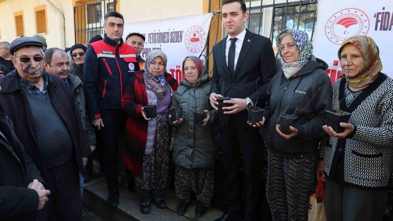 Üreticilere ücretsiz fidan dağıtımı yapıldı