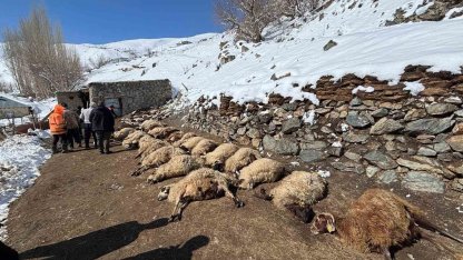 Van’da ahırda feci yangın: 67 küçükbaş hayvan telef oldu