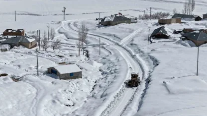 Van’da kardan dolayı kapanan 390 yoldan 355’i açıldı