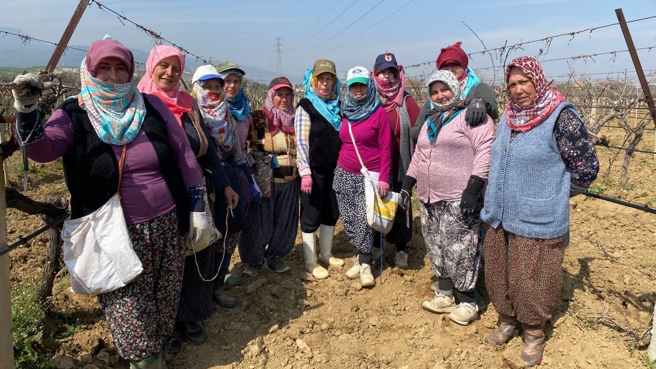 Yağışa teslim olan bağlar ayağa kalktı