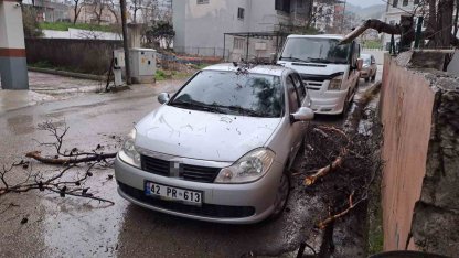Yağmur ve şiddetli rüzgar çam ağacını devirdi, otomobil zarar gördü