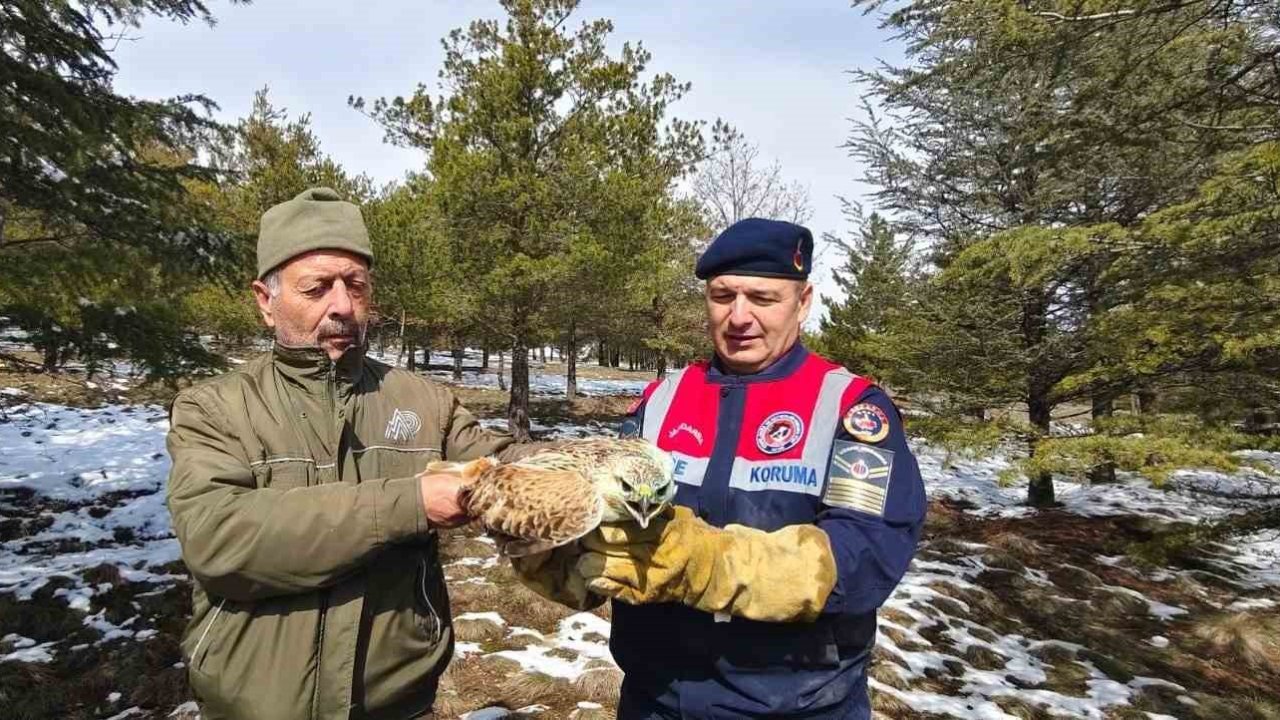Yaralı Şahin’e Jandarma ekiplerinden yardım eli