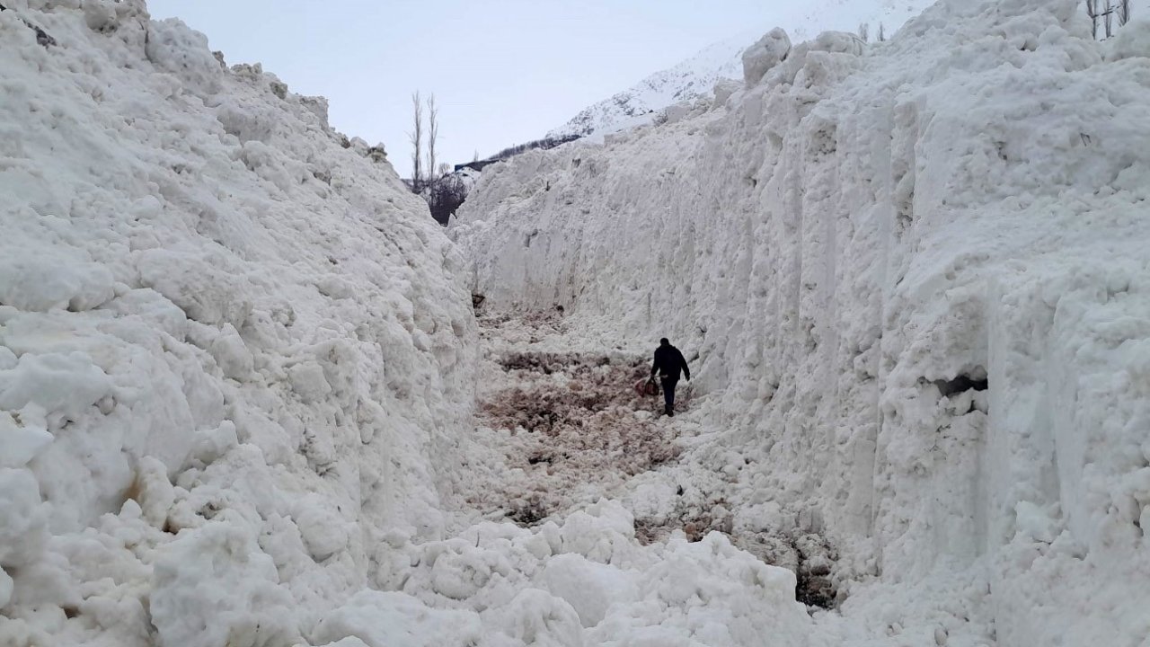 Yüksekova’da çığ meyve bahçelerini yuttu: Köy yolu kar tünelleriyle açılıyor
