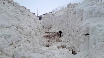 Yüksekova’da çığ meyve bahçelerini yuttu: Köy yolu kar tünelleriyle açılıyor