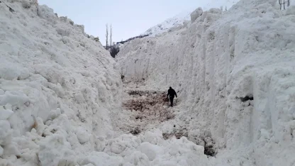 Yüksekova’da çığ meyve bahçelerini yuttu: Köy yolu kar tünelleriyle açılıyor