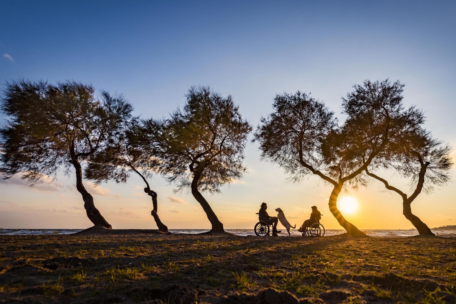 Can Yoldaşlarla En Güzel Fotoğraflar