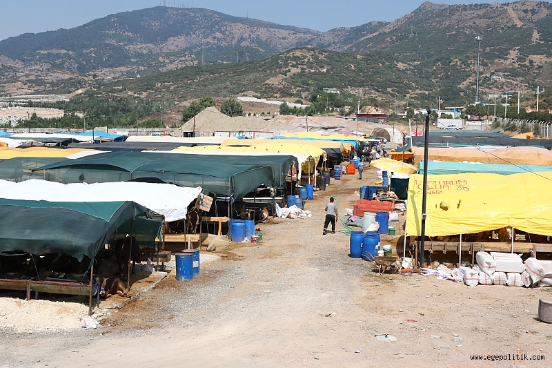 Bayraklı da Kurban satış yerlerine ücretsiz servis 1