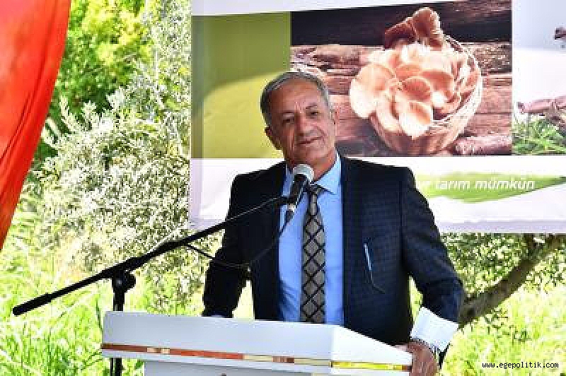 Büyükşehir’den istiridye mantarı üretimine destek 2