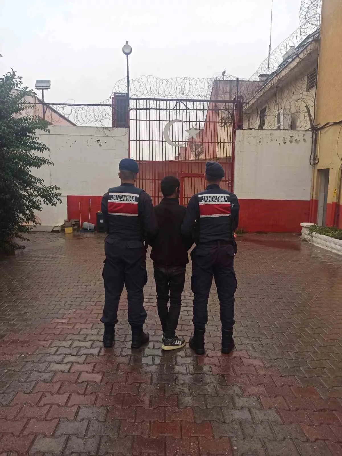 Koçarlı’da hayvan hırsızlığına geçit yok: Çaldığı büyükbaşları 237 bin liraya satarken yakalandı
