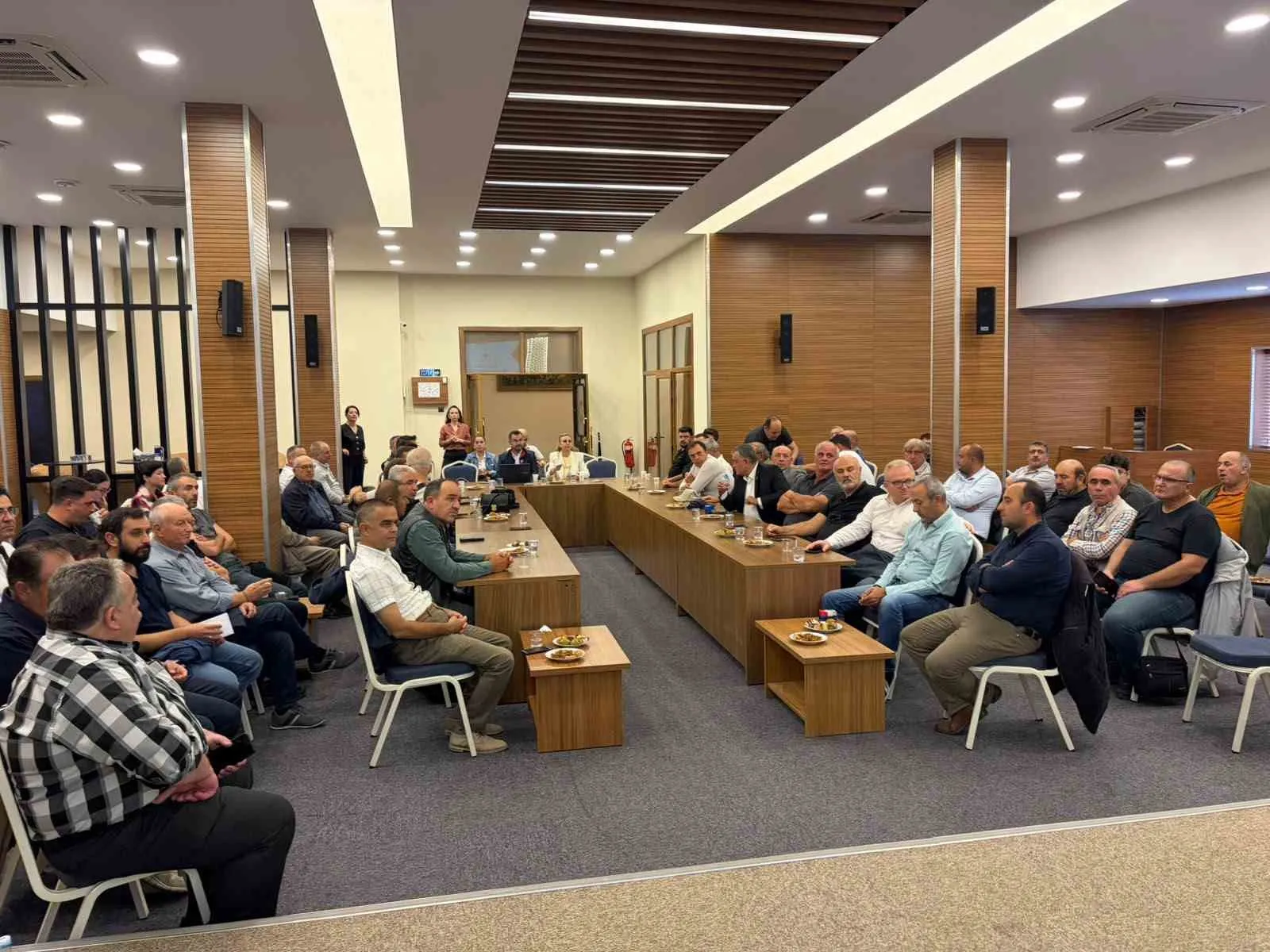 Manisa zeytin üretiminde vites yükseltti: Hedef 38 milyon ağaçla rekor kırmak