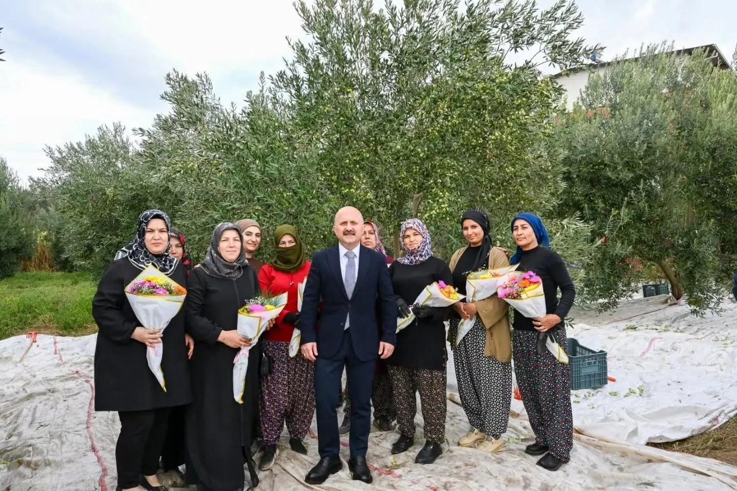Aydın’ın bereketli topraklarında kadın eli: Vali Varol hasat mesaisine katıldı