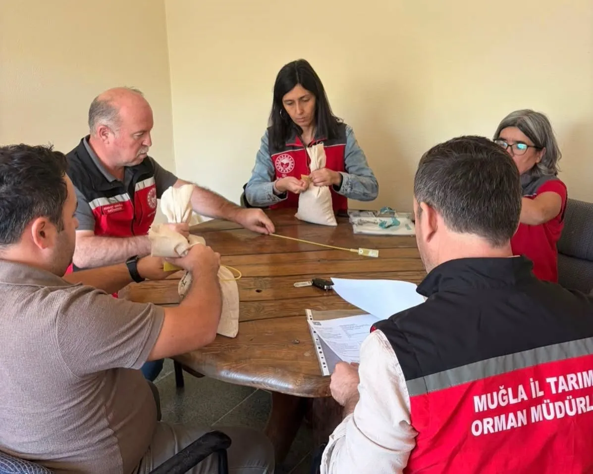 Muğla’nın bereketli topraklarında yerli tohum seferberliği: 2 bin 500 ton buğday hazır