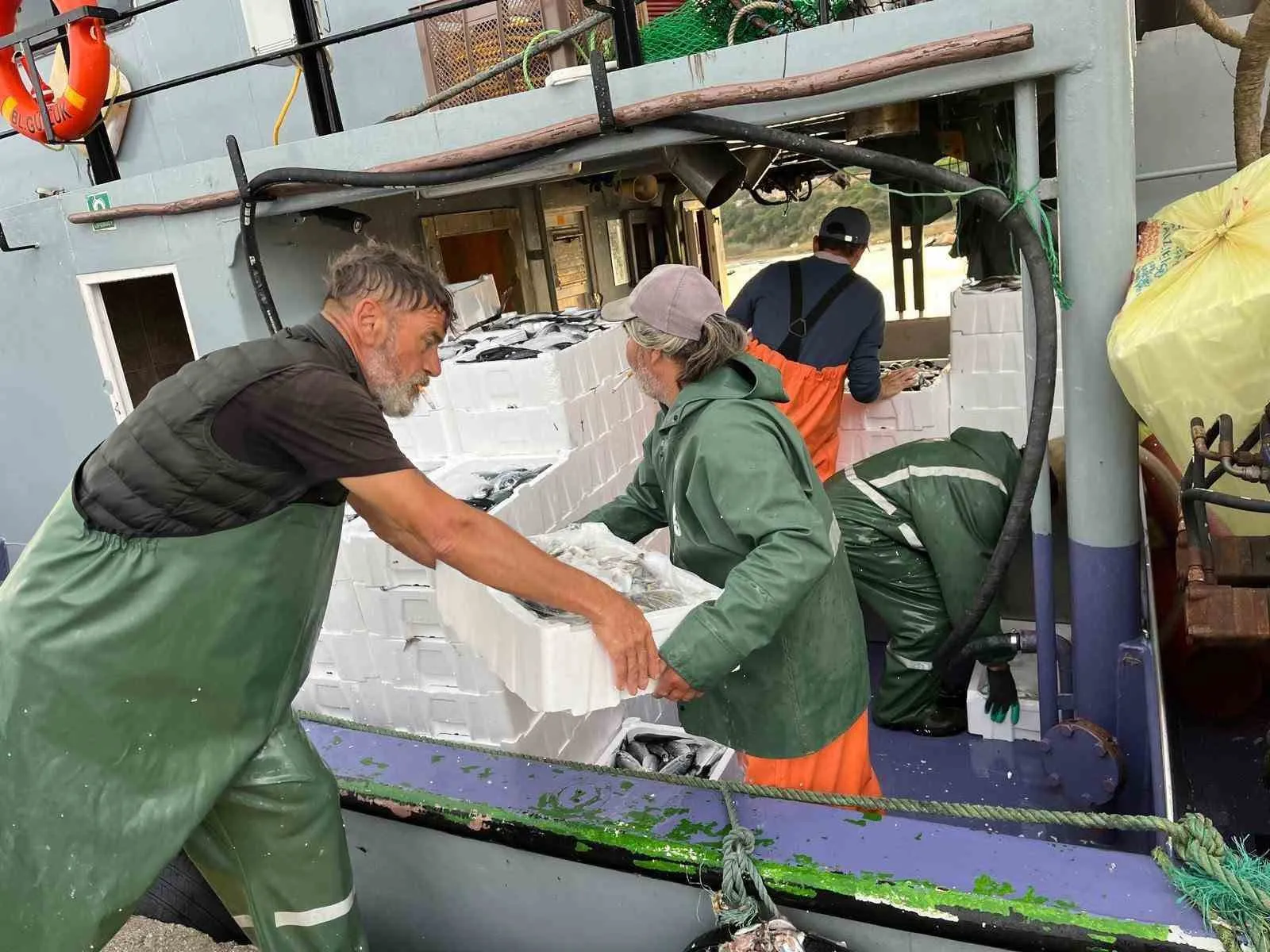 Didim denizlerinde hamsi mesaisi: Kota denetimleri aralıksız sürüyor