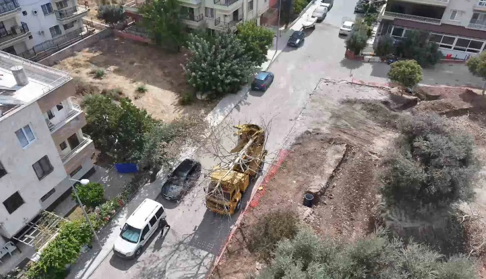 Didim'de spor yatırımı doğayla buluştu: Ağaçlara hassas dokunuş