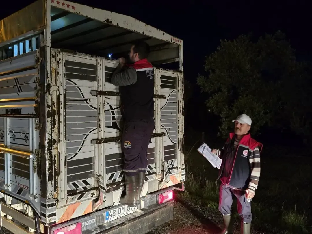 Aydın’da hayvan pazarlarında sıkı takip: Belgesiz girişe geçit yok