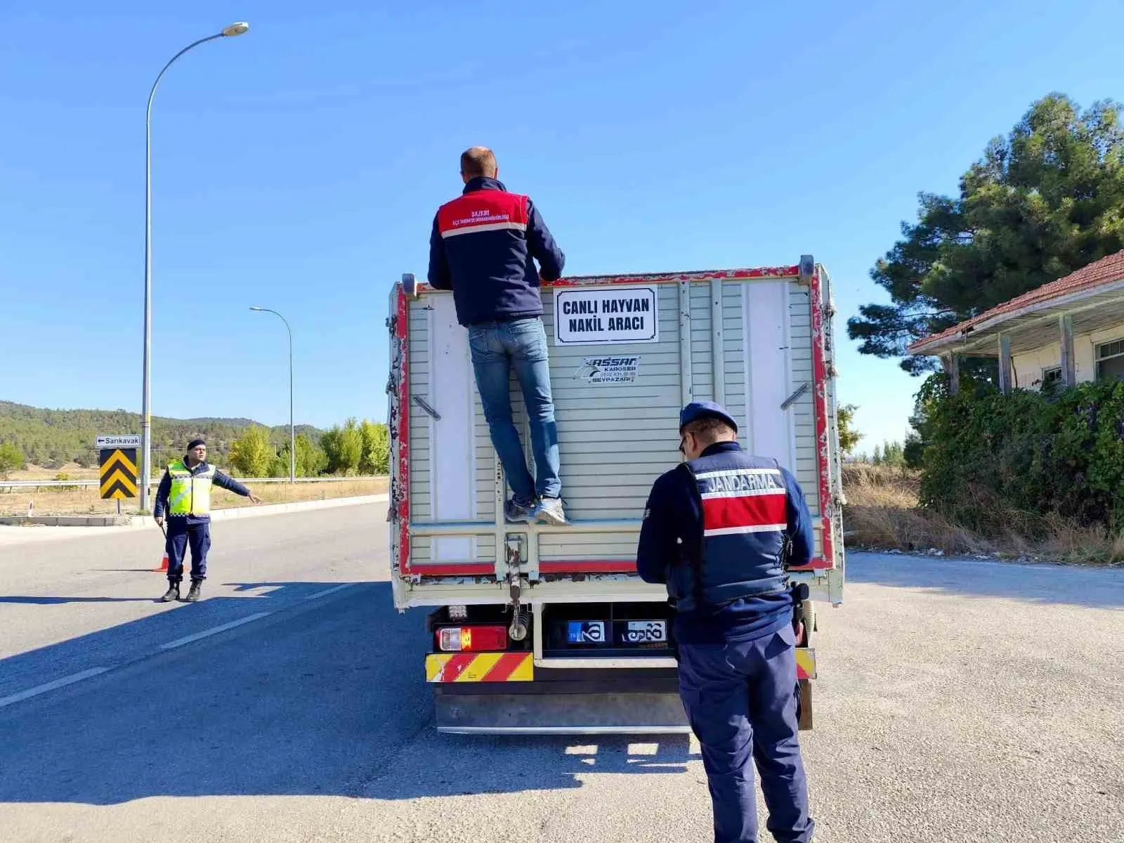 Dazkırı yollarında sıkı denetim: Hayvan nakillerinde taviz yok