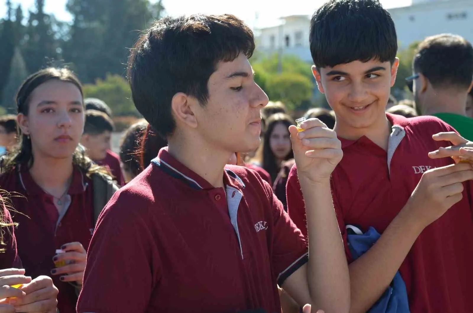 Didim’de zeytin bereketi festivalle taçlandı: Dünya rekoru için geri sayım başladı