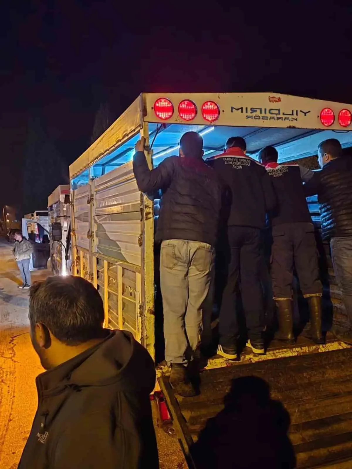 Çine’de hayvan ticareti için yeni dönem: Pazara girişlerde sıkı denetim