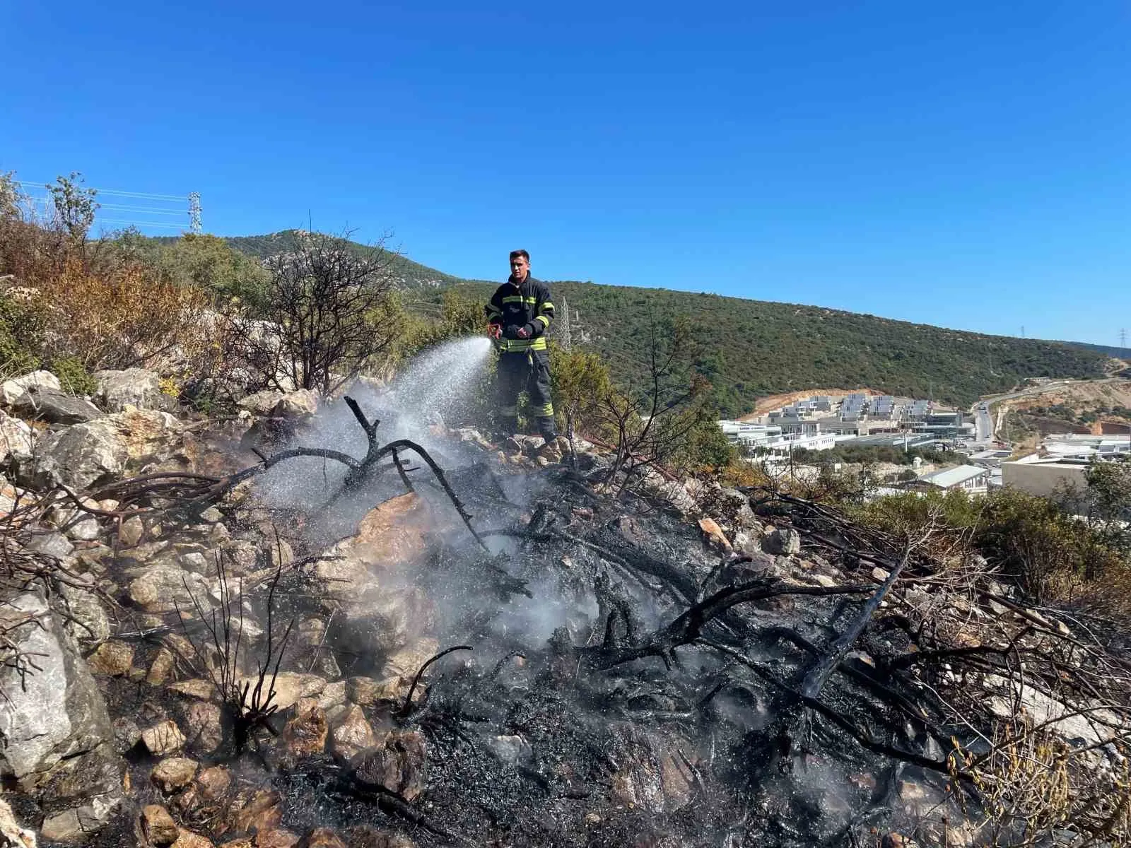 Bodrum'da korkutan yangın: Ekipler büyümeden durdurdu