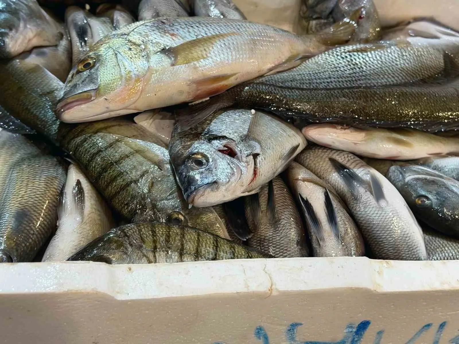 Buca'da kaçak avcılığa ağır darbe: 45 kilo balık imha edildi