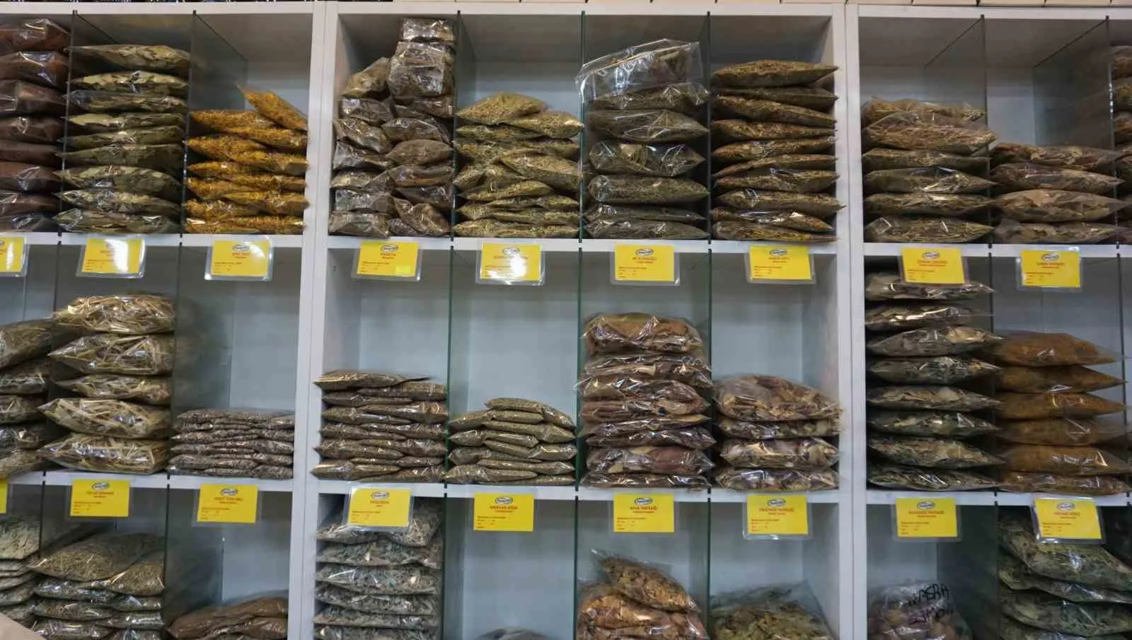Mevsim geçişlerinde kalkan etkisi: Çörek otu yağı ile bağışıklığınızı zırhlayın
