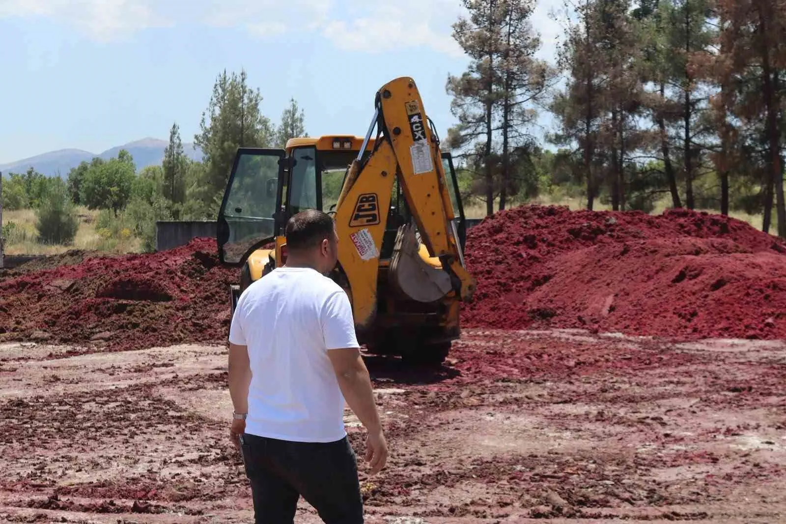 Çal'da besicinin yüzü gülüyor: Yerel yönetimden dev yem desteği
