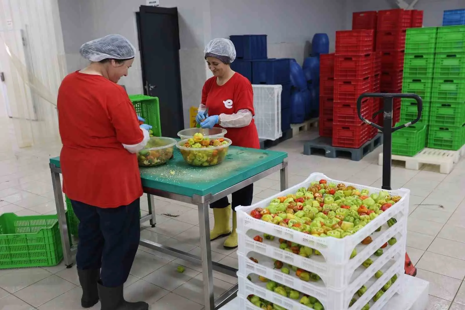 Efeler'in mutfağından dünyaya açılan lezzet kapısı: Ürün gamı 63 çeşide çıktı