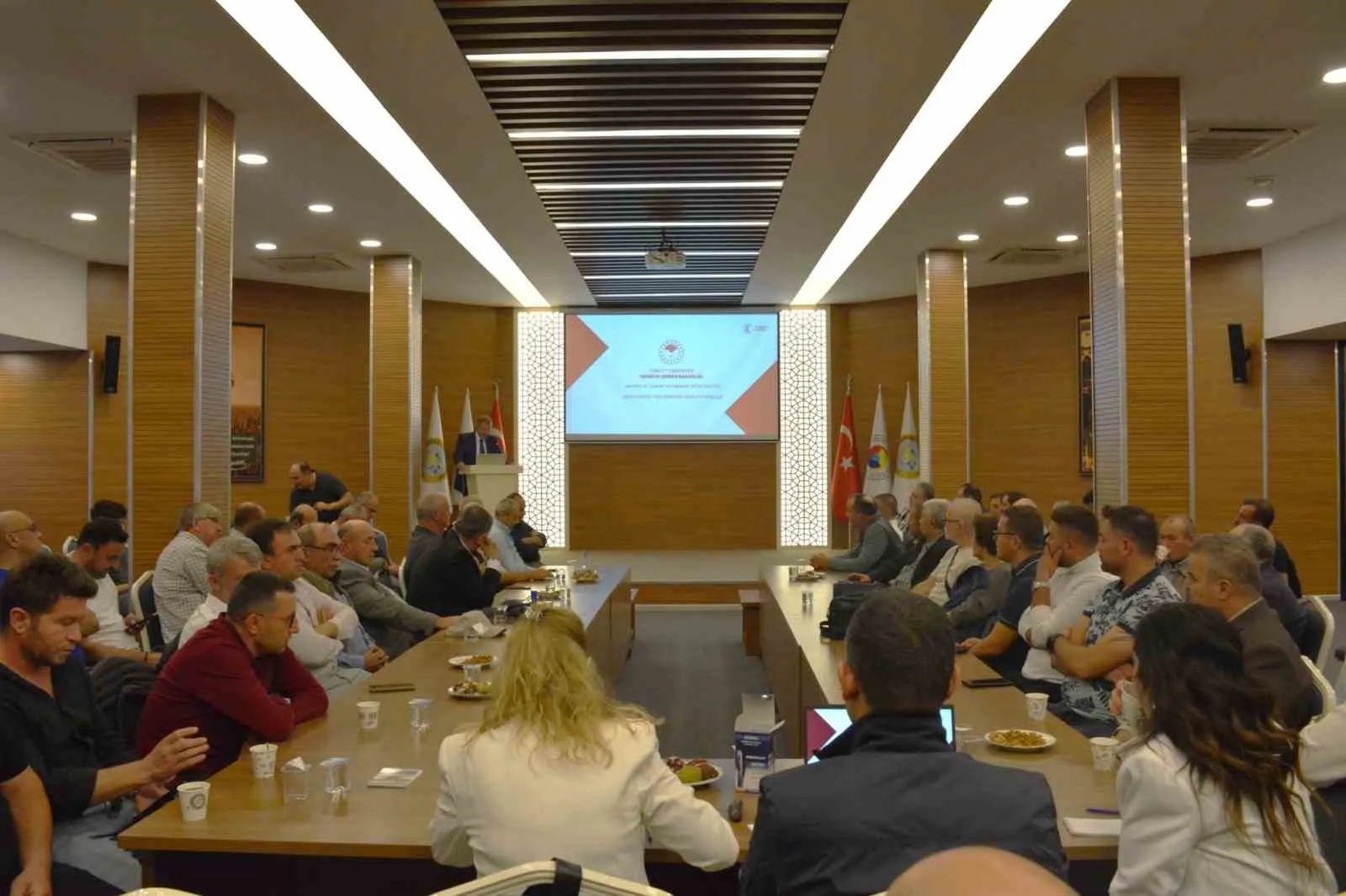 Manisa zeytin üretiminde vites yükseltti: Hedef 38 milyon ağaçla rekor kırmak