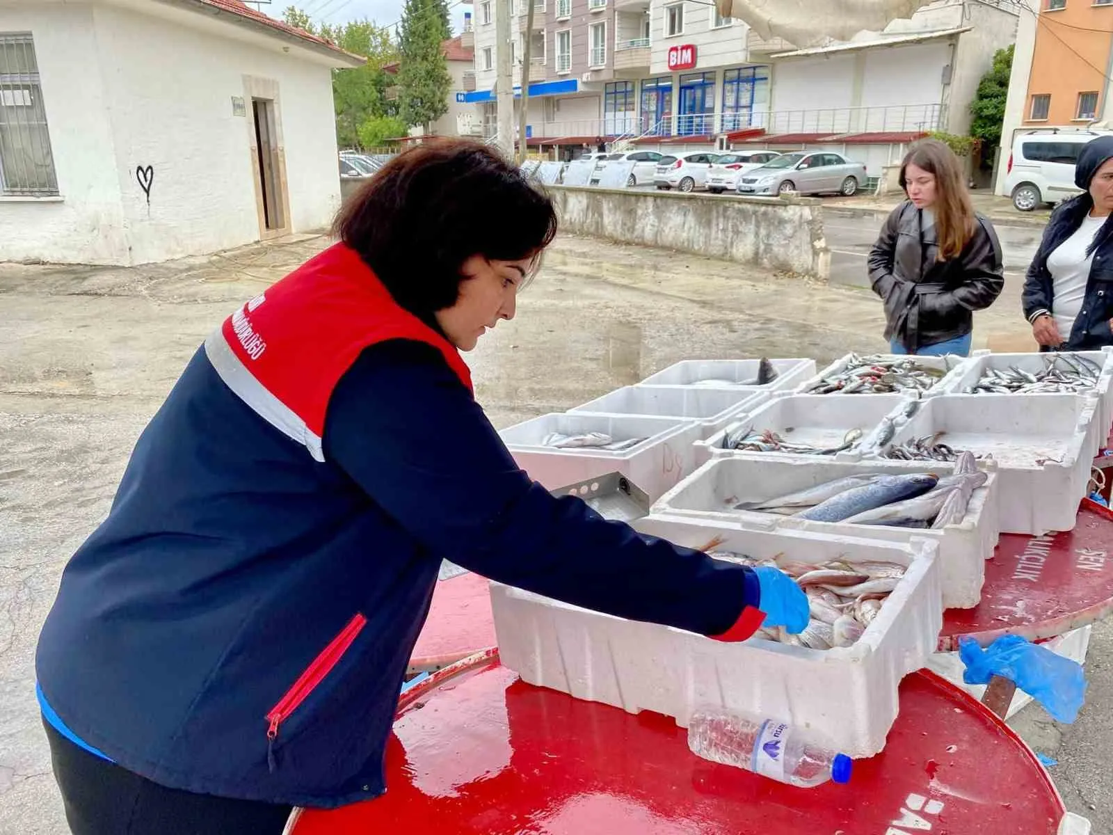 Dazkırı’da sofraların güvenliği için sıkı takip: Balık tezgahları mercek altında