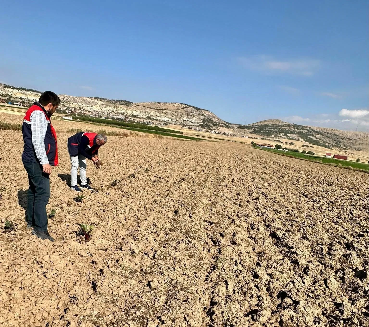 Bolvadin’de tarım haritası güncelleniyor: Uzman ekipler sahaya indi