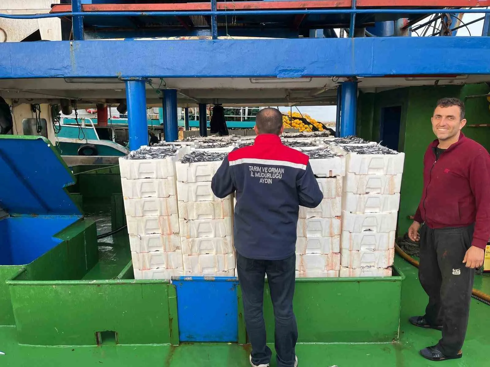 Didim denizlerinde hamsi mesaisi: Kota denetimleri aralıksız sürüyor