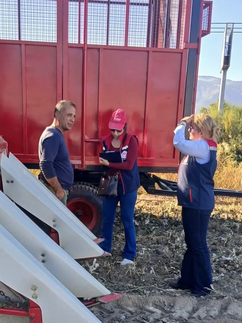 Söke ovasında beyaz altın mesaisi: Tarım ekiplerinden hasat makinelerine yakın takip