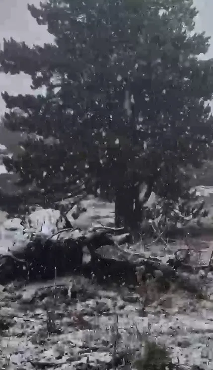 Ege'nin zirvesine kış erken geldi: Muğla beyaza büründü