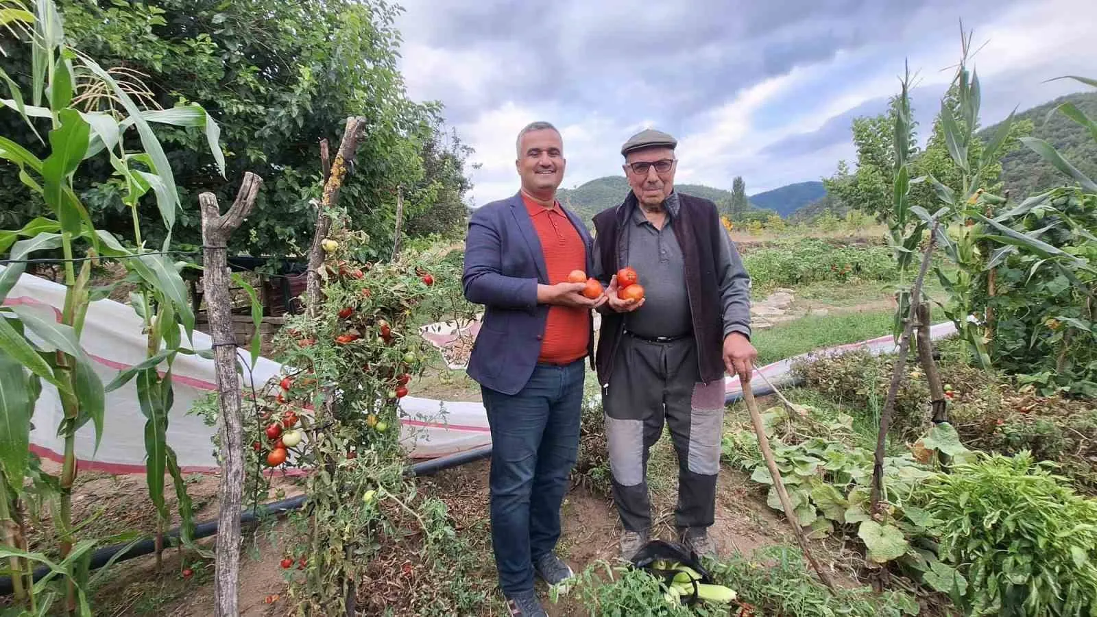 Manisa'da bir gelenek: Dededen kalan tohumlarla toprağı bereketlendiriyor