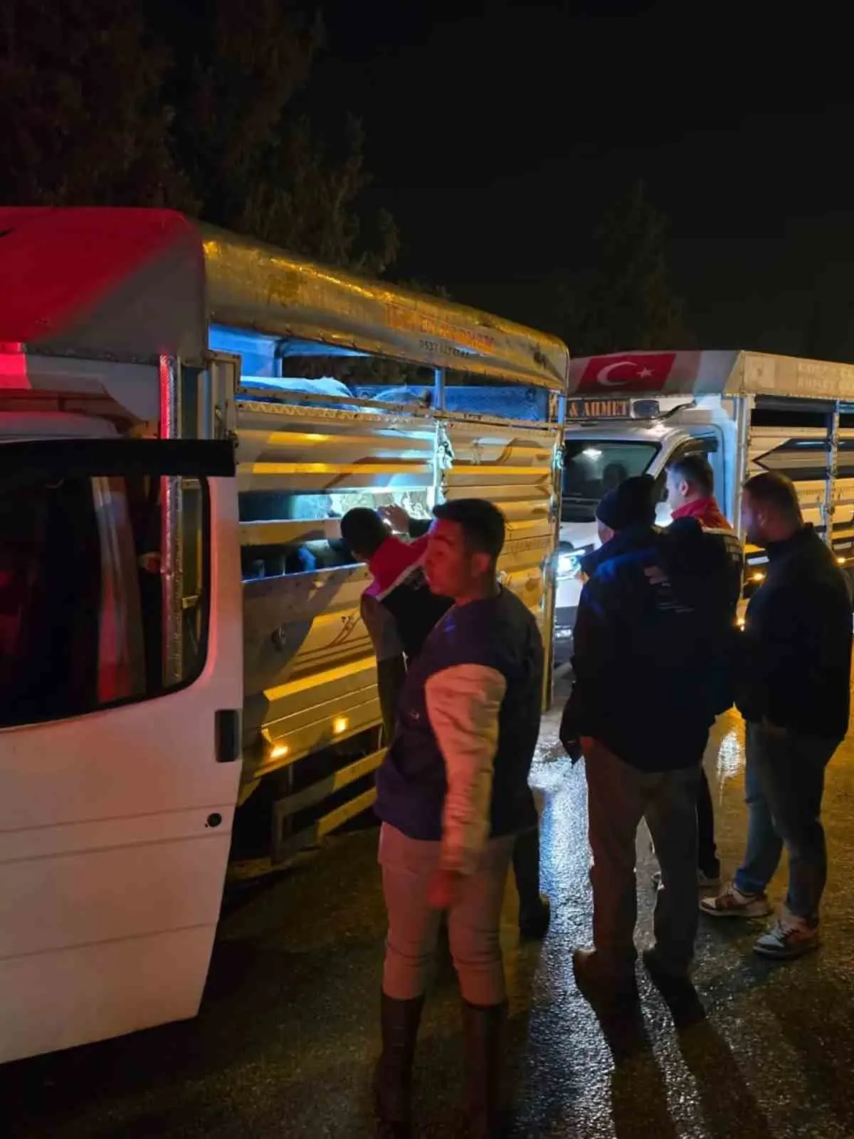 Çine’de hayvan ticareti için yeni dönem: Pazara girişlerde sıkı denetim