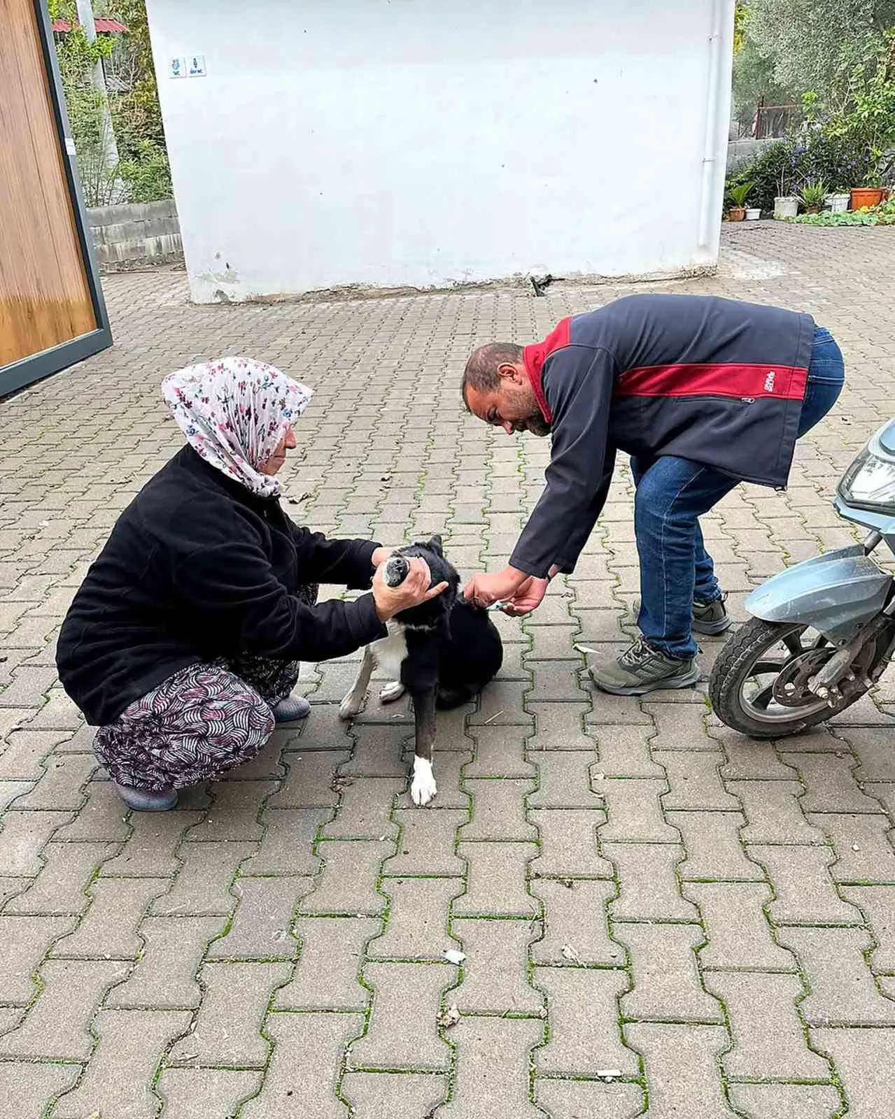 Ortaca’da can dostlar için kritik hamle: Kuduz riskine karşı kalkan oluşturuldu
