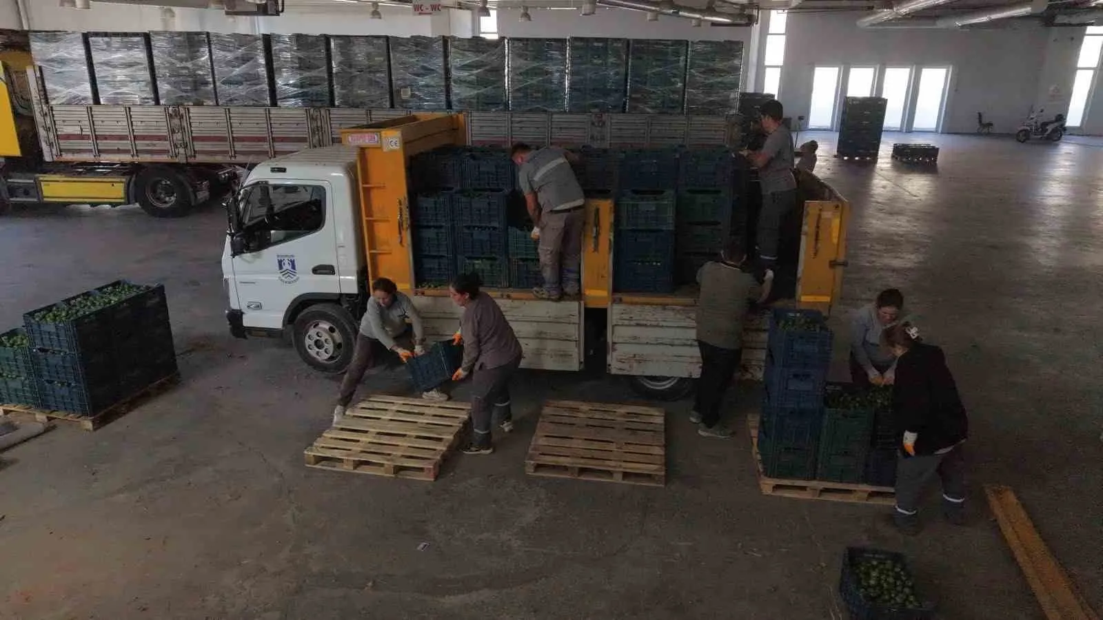 Bodrum mandalininde yeşil devrim: 104 üreticinin ürünü ekonomiye kazandırıldı